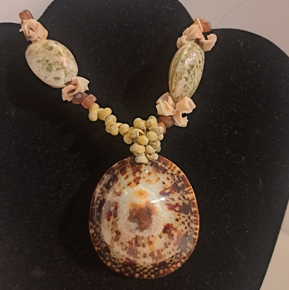 Limpet Cellana Seashell necklace
